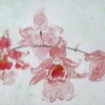 Bild: Orchideen 4 (© Christel Siede)