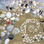 Bild: Muschelillusion (© Christel Siede)